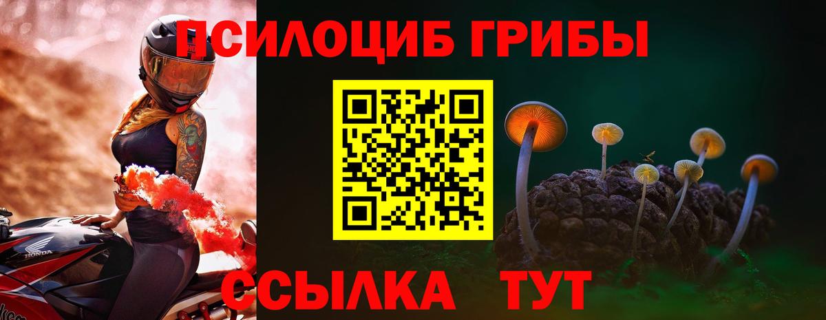 Барнаул  Псилоцибиновые грибы мицелий  Вход с VPN 